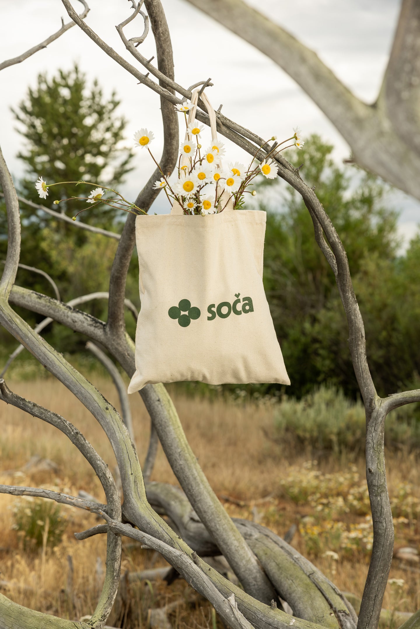 The Tote Bag